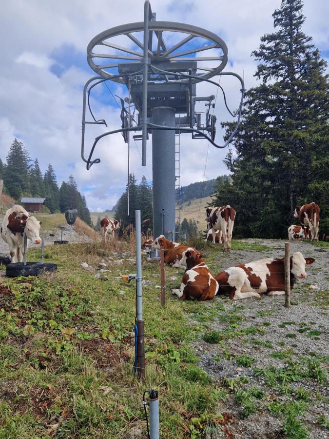 Appartement Tout Confort Montagne Et Lac Leman Thollon-les-Memises Eksteriør bilde