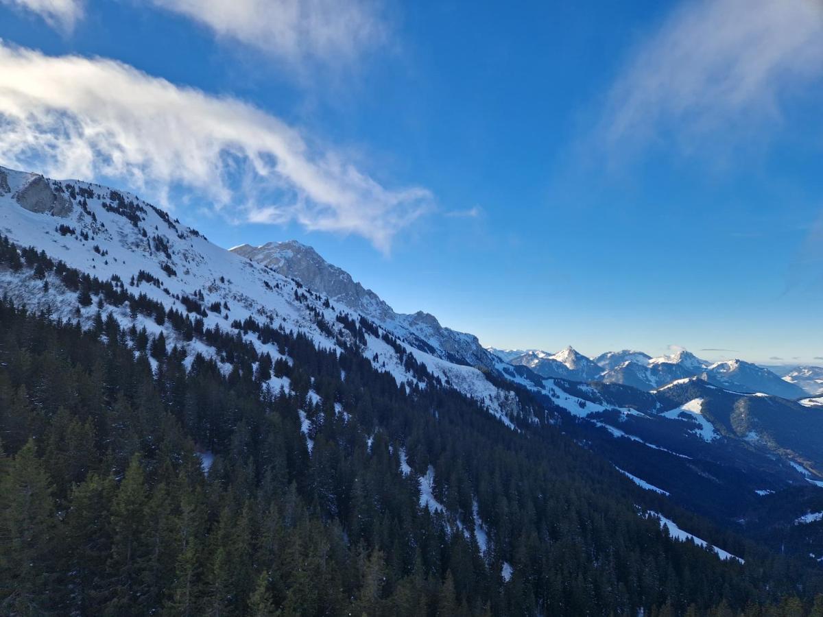 Appartement Tout Confort Montagne Et Lac Leman Thollon-les-Memises Eksteriør bilde